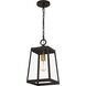 Amberly Grove 1 Light 9 inch Western Bronze Mini Pendant Ceiling Light