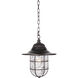 Fairmont 1 Light 11.5 inch Oiled Bronze Gilded Outdoor Pendant, Large