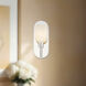 Lucian Wall/Ceiling Light Wall Light in Polished Nickel, Alabaster Shade