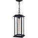Blackbridge 1 Light 6 inch Black Outdoor Hanging Light