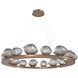 Mesa LED Novel Brass Chandelier Ceiling Light, Ring