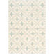 Fez 90 X 60 inch Sea Foam/Cream Rugs
