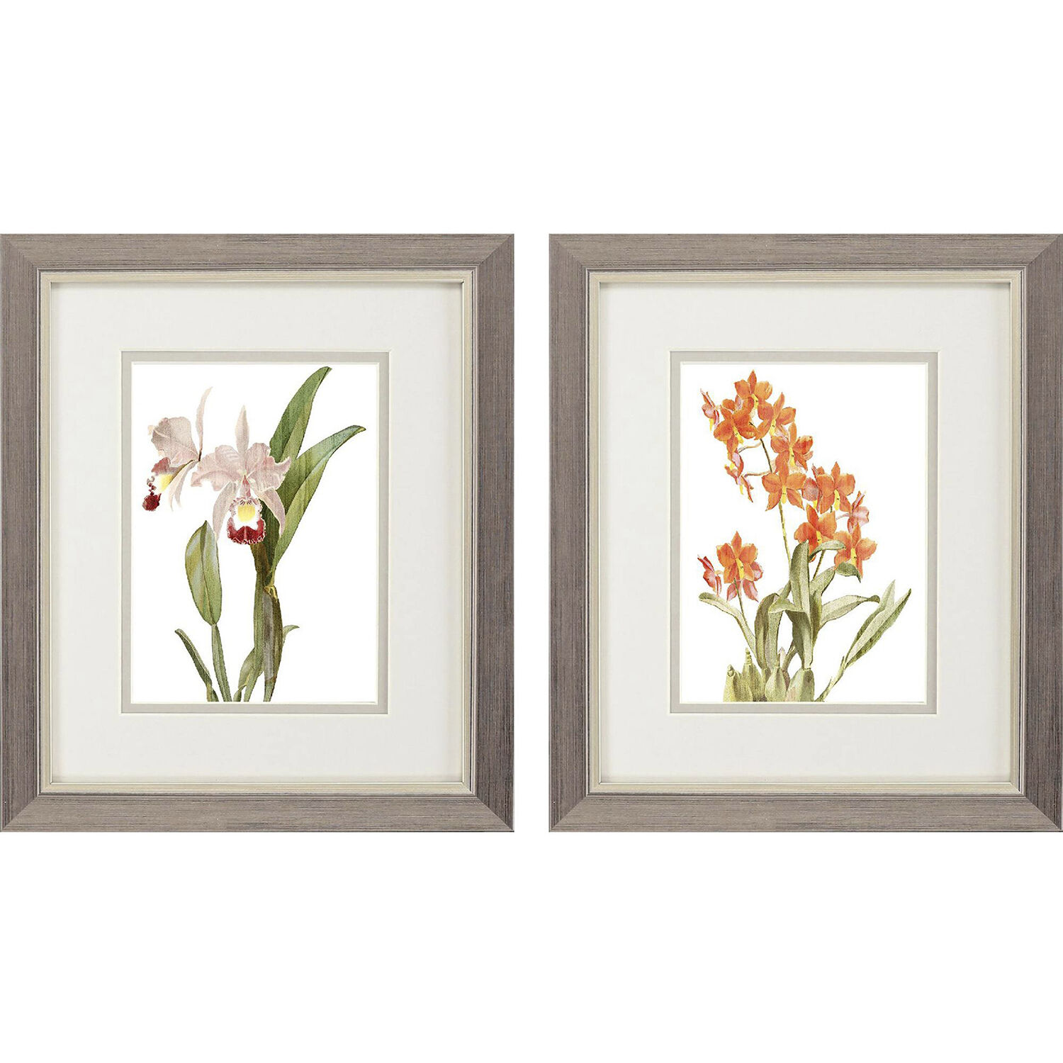 Floral Beauty Orange and Green and Beige and Neutral Framed Art, Propac