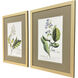 Alluring Botanical I Green and Multi and Yellow and Blue Framed Art, Propac