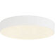 Rynn 5.25 inch White Flush Mount Ceiling Light