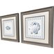 Ocean Finds Blue and Gray Framed Art, Propac