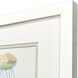 Sea Creatures Blue and Green and Orange and Turquoise Framed Art, Propac