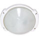 Brentwood 1 Light 11 inch Semi Gloss White Outdoor Bulk Head, Oblong Round