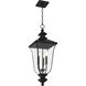 Farley 3 Light 9.75 inch Matte Black Outdoor Hanging Lantern