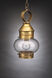 Onion 1 Light 8 inch Verdi Gris Hanging Lantern Ceiling Light in Clear Glass