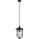 Royal Marine 1 Light 12 inch Distressed Black Outdoor Hanging Pendant