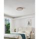 Argyle LED 16 inch Champagne Gold Flush Mount Ceiling Light