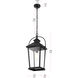 Luz 1 Light 9 inch Black Outdoor Pendant