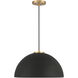 Vintage 1 Light 18 inch Matte Black with Natural Brass Pendant Ceiling Light