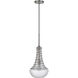 Baraboo 1 Light 14.25 inch Brushed Steel and Silver Mini Pendant Ceiling Light