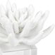 Succulent White Objet, Sculpture 2