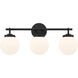 Ortesa 3 Light 24 inch Dark Matte Black Vanity Wall Light