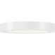 Ara White Downlight