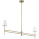 Camelia Stem 2 Light 53 inch Luxe Gold Linear Chandelier Ceiling Light, Large