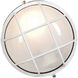 Nauticus 1 Light White Outdoor Wall Sconce in Incandescent