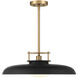 Gavin 1 Light 20 inch Black with Warm Brass Accents Pendant Ceiling Light