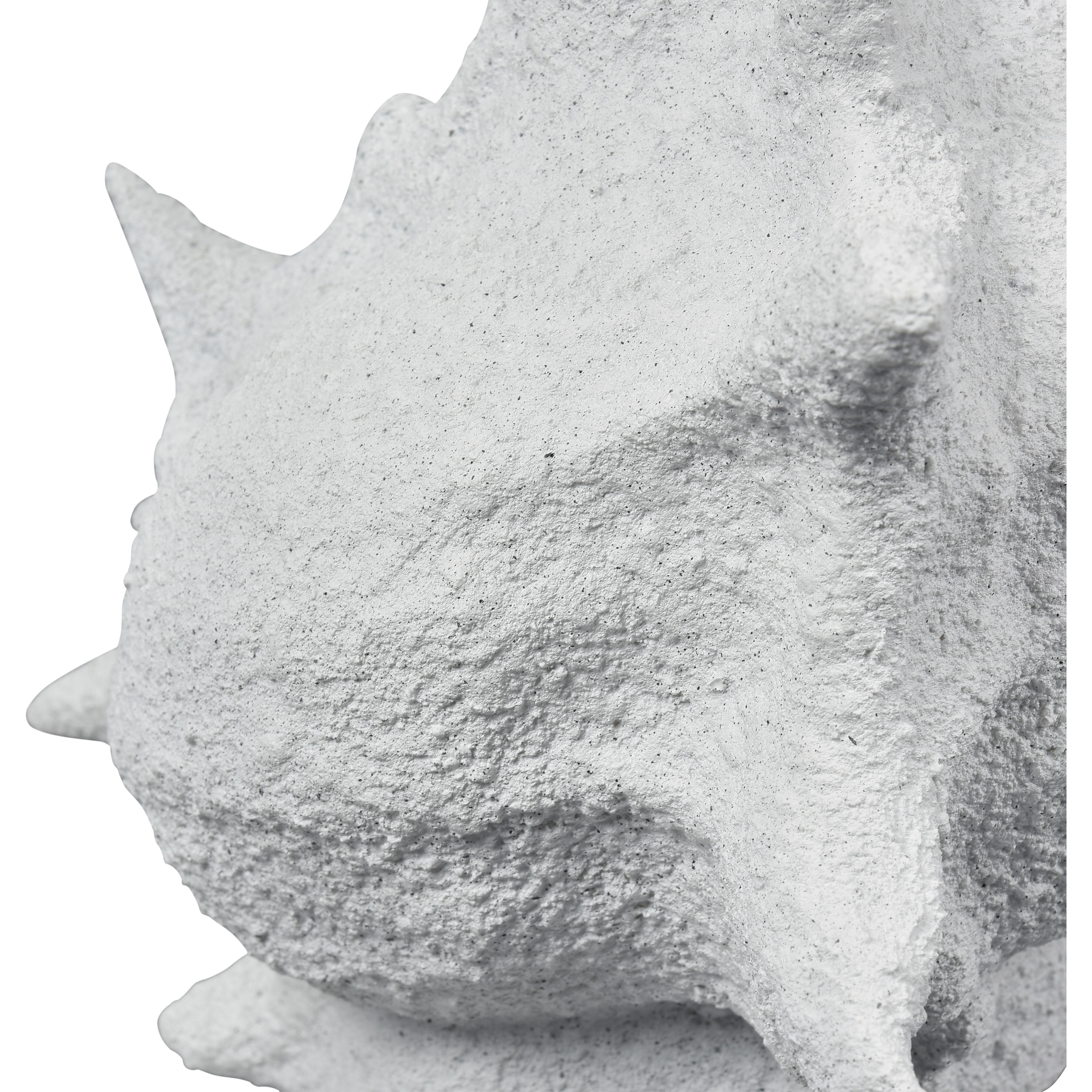 Tigertail Textured White Shell