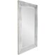 Lenox 82.5 X 47 inch Champagne Wall Mirror