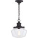 Collins LED 10 inch Matte Black Outdoor Pendant