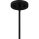 Appleton 2 Light 16 inch Matte Black Pendant Ceiling Light