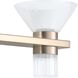Blake LED 35.5 inch Champagne Gold and Polished Nickel Vanity Light Wall Light
