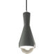 Radiance Collection LED 5 inch Pewter Green with Brushed Nickel Pendant Ceiling Light