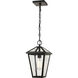 Talbot 1 Light 8.25 inch Oil Rubbed Bronze Outdoor Chain Mount Ceiling Fixture in Seedy Glass