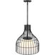 Evensong LED 15.75 inch Matte Black Pendant Ceiling Light