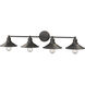 Casa 4 Light 36.5 inch Olde Bronze Vanity Wall Light in Olde Bronze Steel
