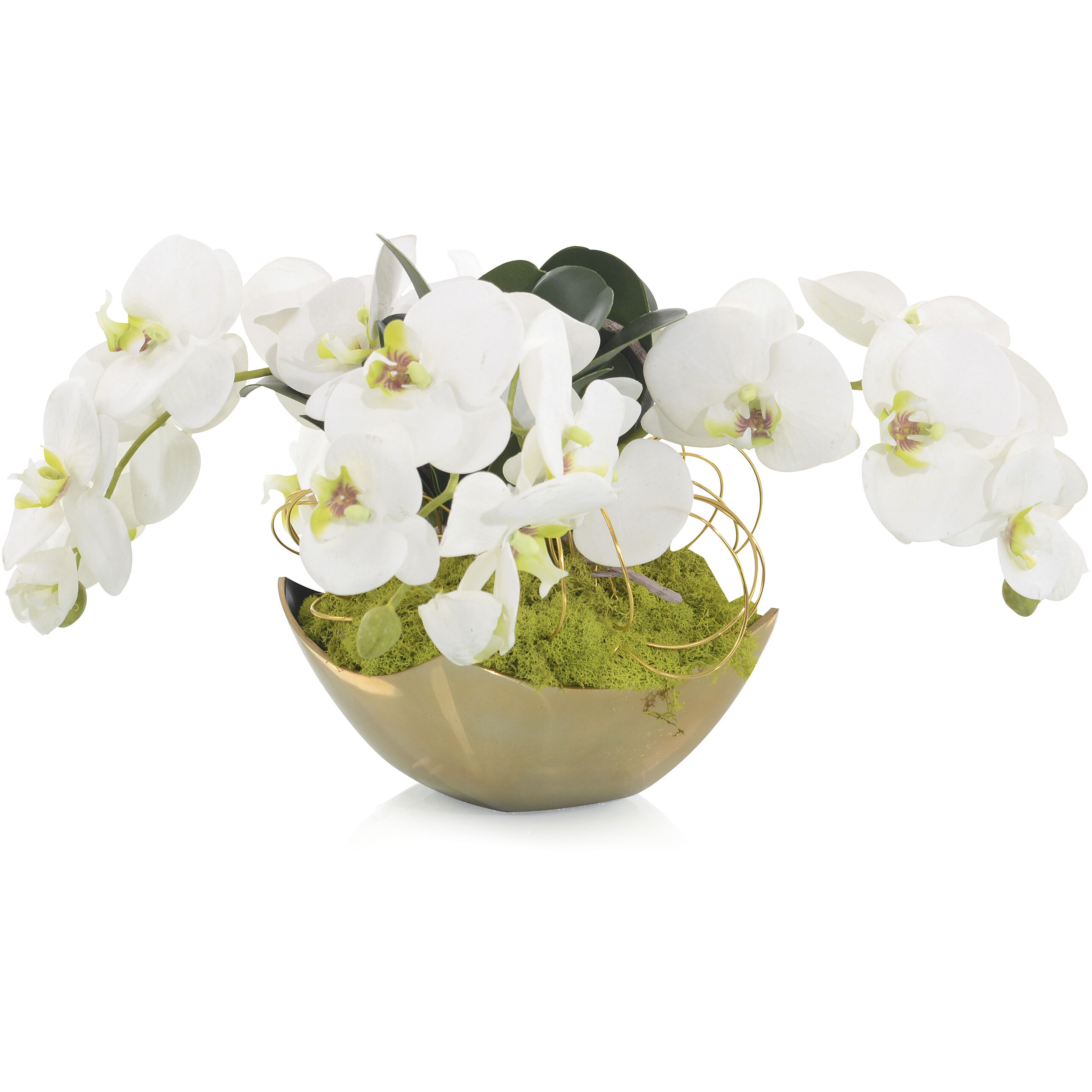 Fallen Decorative Orchid