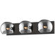Alora Mood Willow Bath Vanity Light Wall Light in Matte Black, Smoked Glass