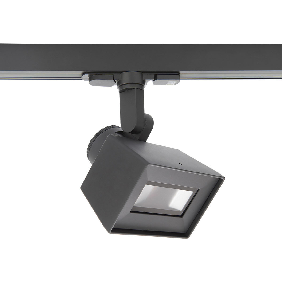 Tyler 120 Track Head Ceiling Light