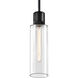Zigrina 1 Light 5.88 inch Satin Brushed Black Pendant Ceiling Light