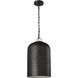 Thom Filicia Buckner 1 Light 10 inch Aged Iron Pendant Ceiling Light