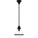 Hidalgo 1 Light 9.5 inch Matte Black Mini Pendant Ceiling Light
