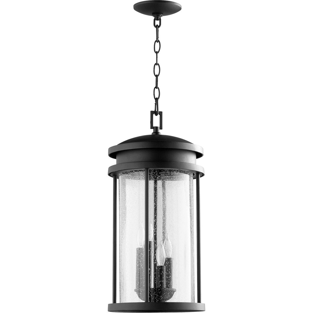 Hadley 4 Light 10 inch Noir Outdoor Pendant