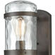 Torch 1 Light 21 inch Hazelnut Bronze with Clear Outdoor Wall Sconce
