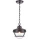 Eastport 1 Light 9 inch Oil Rubbed Bronze Outdoor Pendant