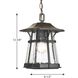 Derby 1 Light 9 inch Espresso Outdoor Hanging Lantern
