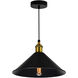 Brave 1 Light 10 inch Black Mini Pendant Ceiling Light
