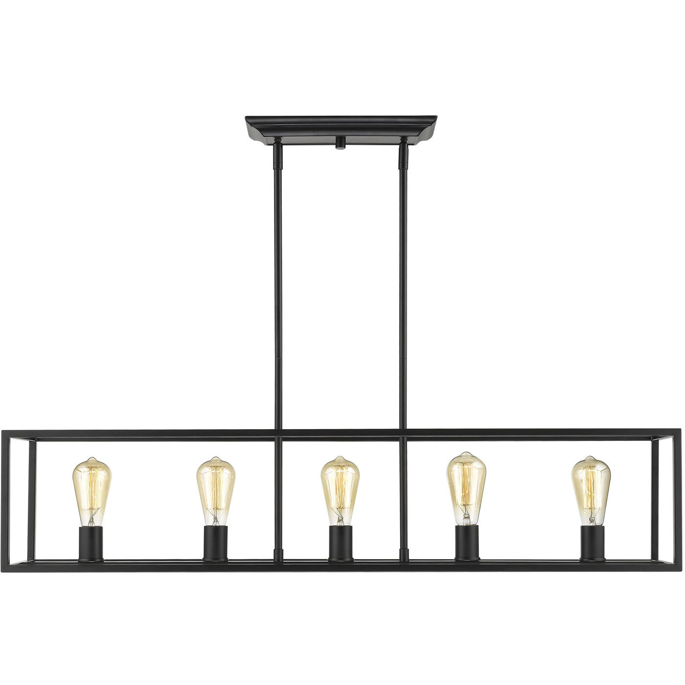 Wesson Island Light Ceiling Light in Matte Black