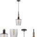 Swindon 1 Light 8 inch Smoked Pendant Ceiling Light