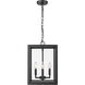 Tribeca 4 Light 12 inch Natural Black Outdoor Pendant
