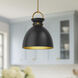 Alora Mood Waldo 1 Light 14 inch Aged Gold/Matte Black Pendant Ceiling Light in Aged Gold and Matte Black