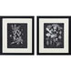 Mono Botanicals Black and White Framed Art